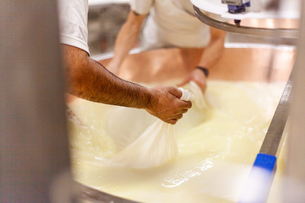 A Slice of the Future: How Tech is Transforming Cheesemaking